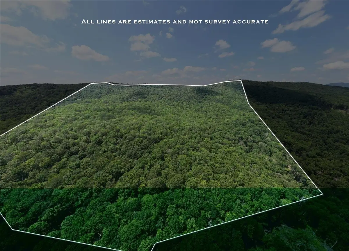 TBD Halterman Hollow Ln, Monterey, VA 24465 - Image #1