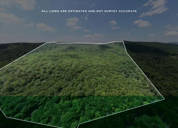 TBD Halterman Hollow Ln, Monterey, VA 24465