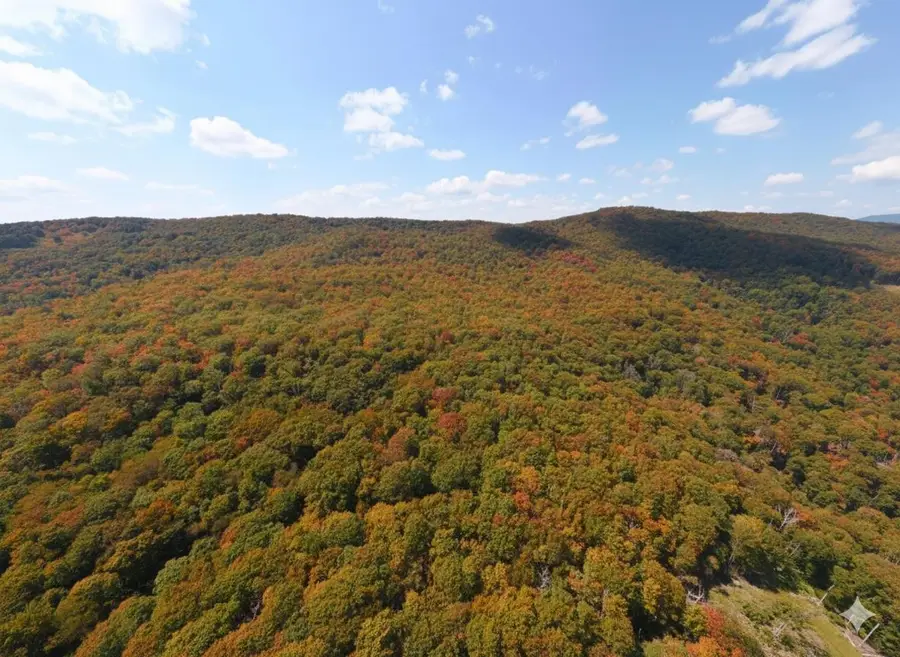 TBD Halterman Hollow Ln, Monterey, VA 24465 - Image #2