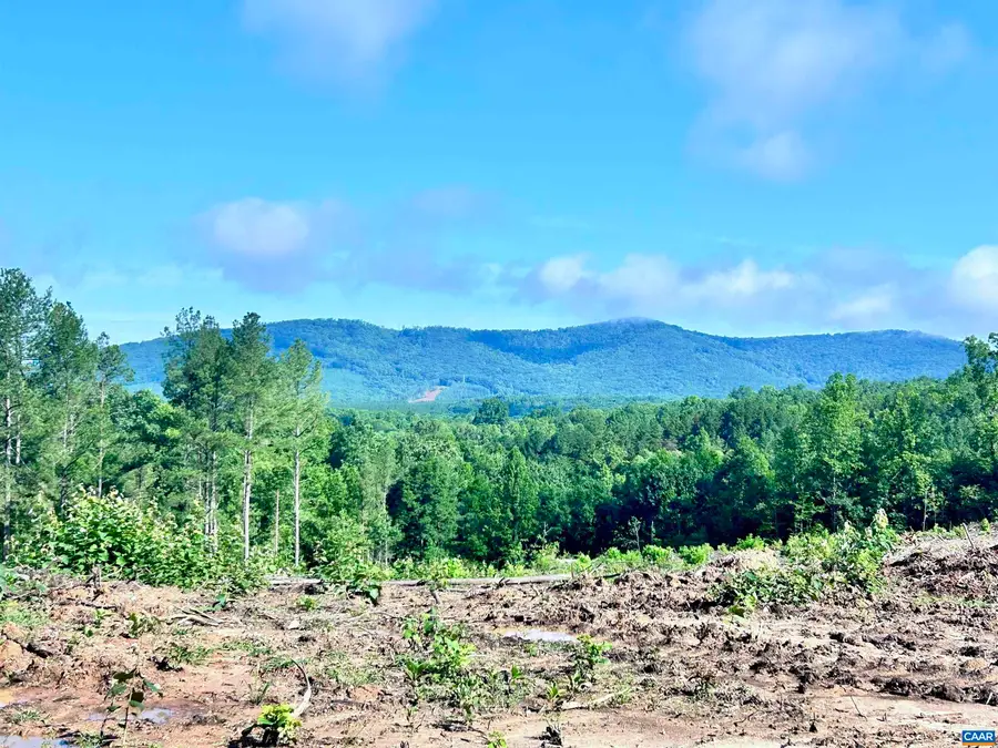 Hunting Lodge Rd, Schuyler, VA 22969 - #3