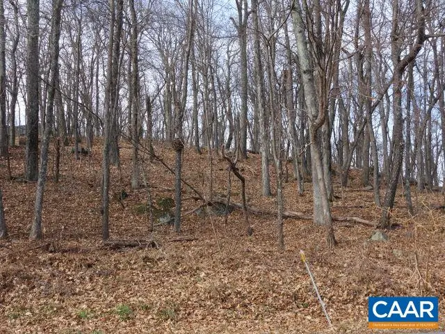 91 Shamokin Springs Trl, Wintergreen, VA 22958 - Image #2