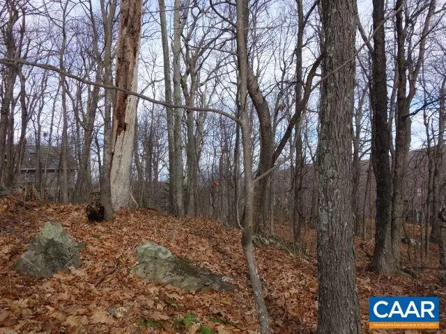 91 Shamokin Springs Trl, Wintergreen, VA 22958 - Image #3