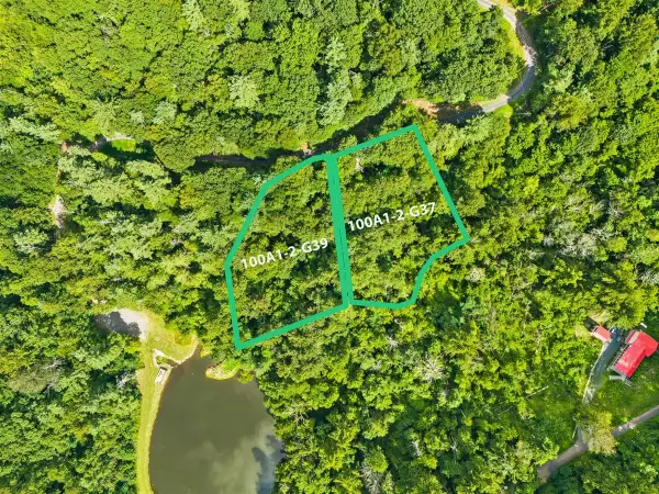 Lots G37 & G39 Lake Rd, Stanley, VA 22851