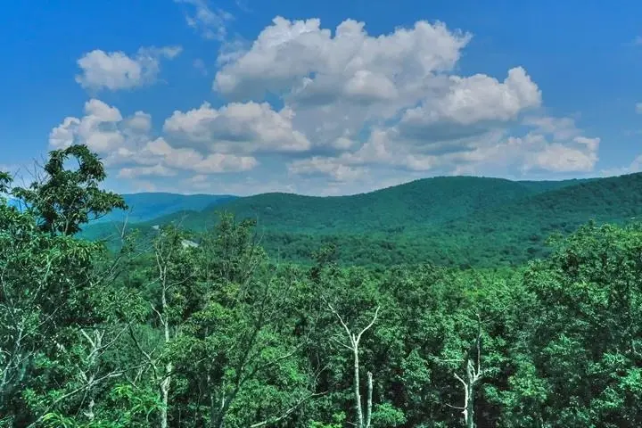 TBD Laurel Ridge Ln, Lyndhurst, VA 22952 - Image #1