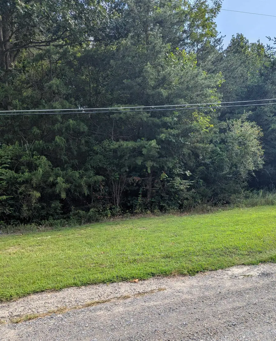 Lot 62 Lake Dr, Crimora, VA 24431 - Image #2