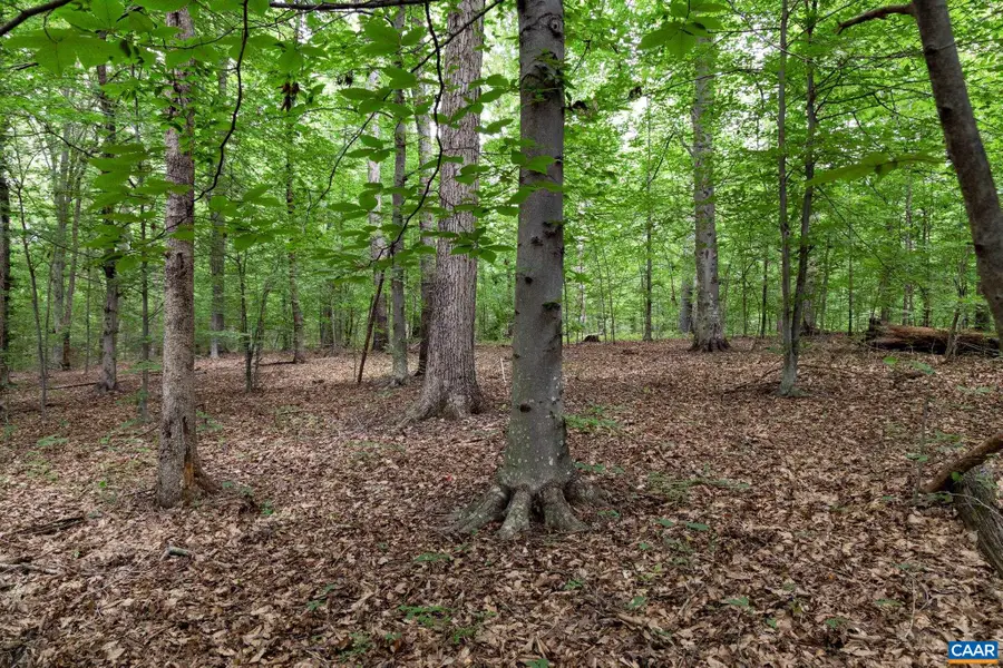 Lot 68 Palmer Pl, Ruckersville, VA 22968 - #3