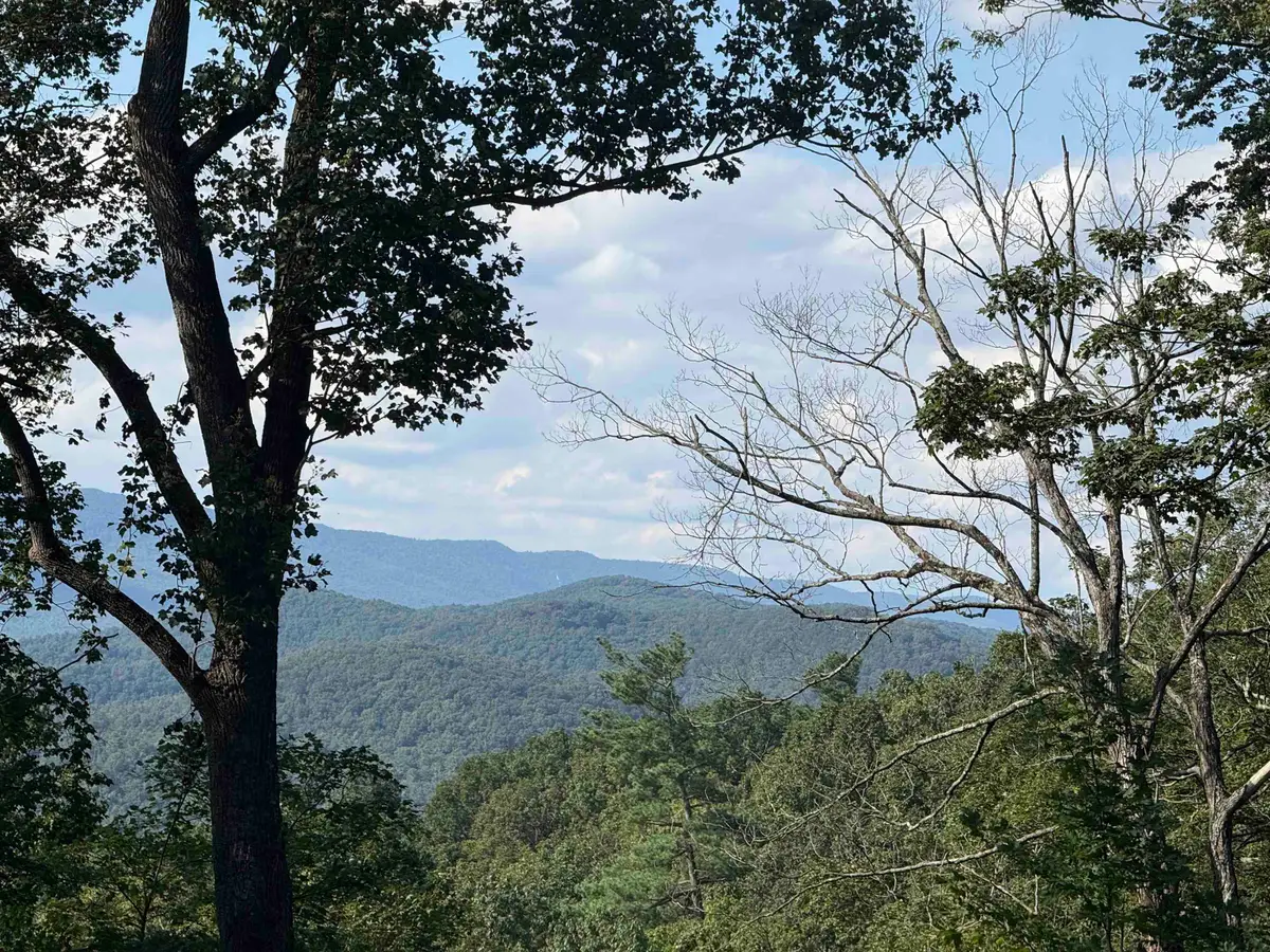 198 acres Runions Creek Rd, Broadway, VA 22815 - #1