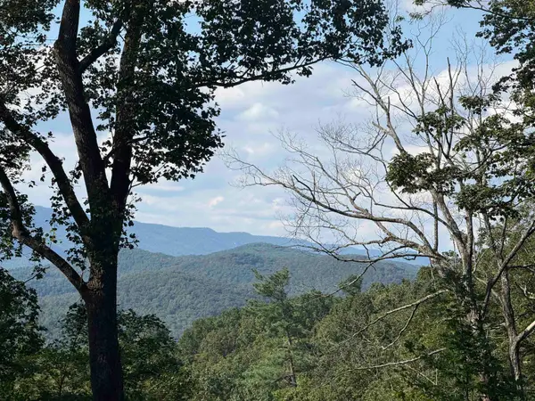 198 acres Runions Creek Rd, Broadway, VA 22815