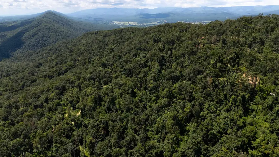 0 Mountain Top Ln, Broadway, VA 22815 - Image #2