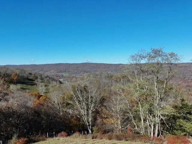 TBD Rich Hills Rd, Monterey, VA 24465 - Image #2