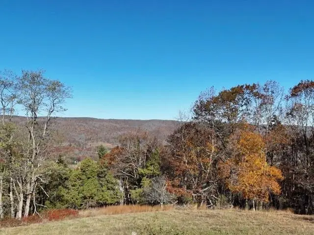 TBD Rich Hills Rd, Monterey, VA 24465 - Image #3