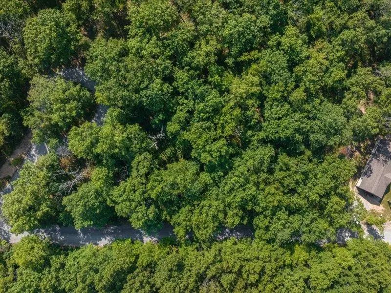 TBD Scenic Hills Dr, Waynesboro, VA 22980 - Image #1