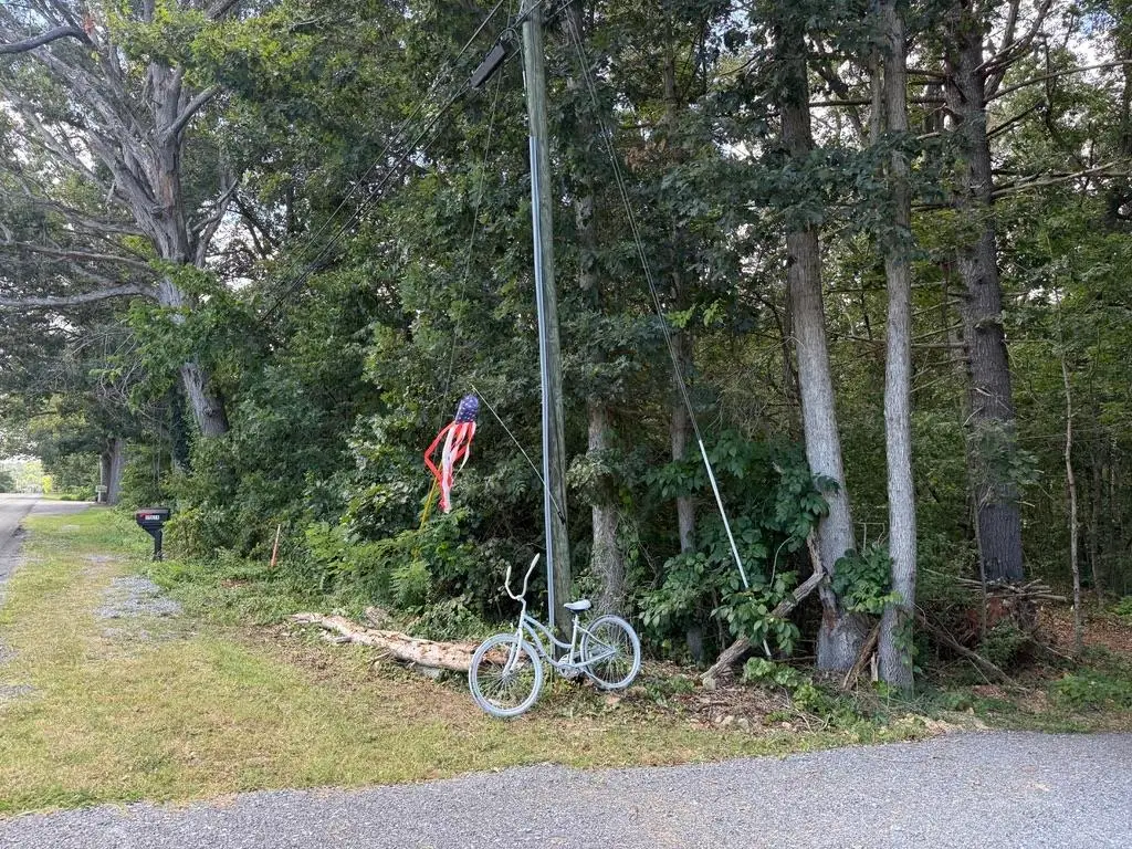 TBD Rockingham Pike, Elkton, VA 22827 - Image #1