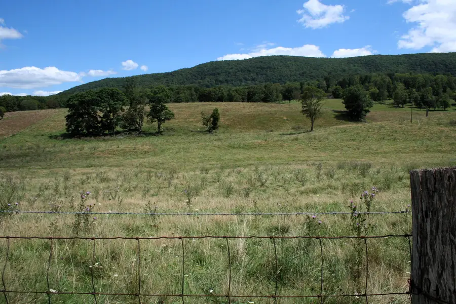 TBD Mill Gap Rd, Monterey, VA 24465 - Image #2