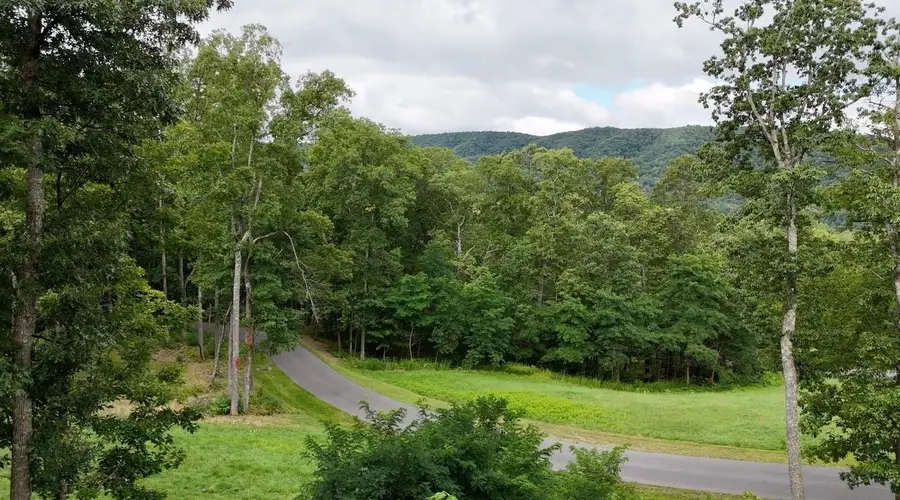 15 Delafield Rd, Hot Springs, VA 24445 - Image #2