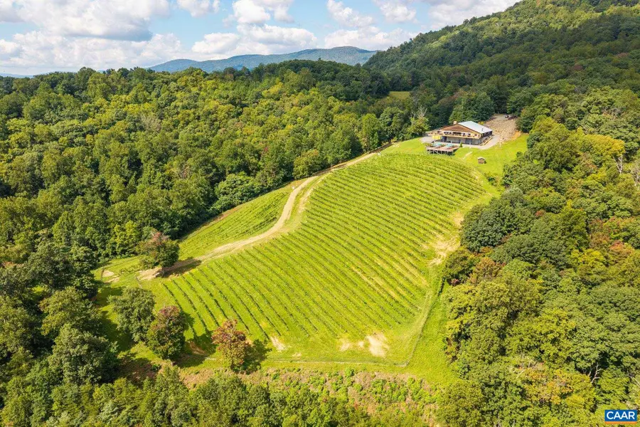 1376 Wyatt Mountain Rd, Dyke, VA 22935 - Image #3