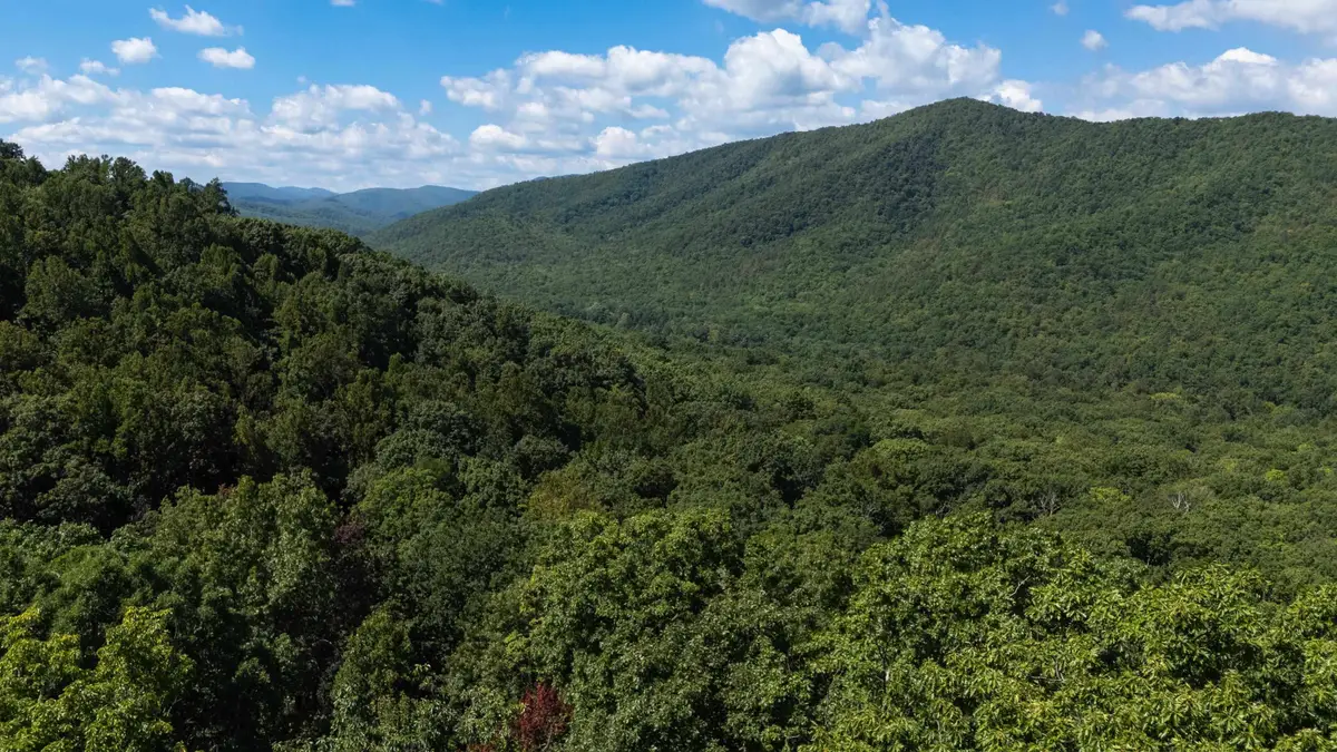 180 Bear Path Ln, Lyndhurst, VA 22952 - Image #1