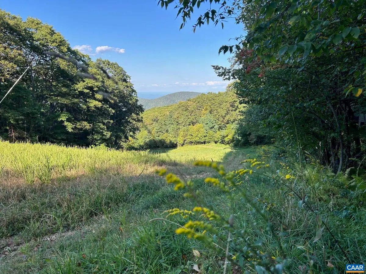 134 Squirrel Tree Ln, Wintergreen Resort, VA 22967 - #1