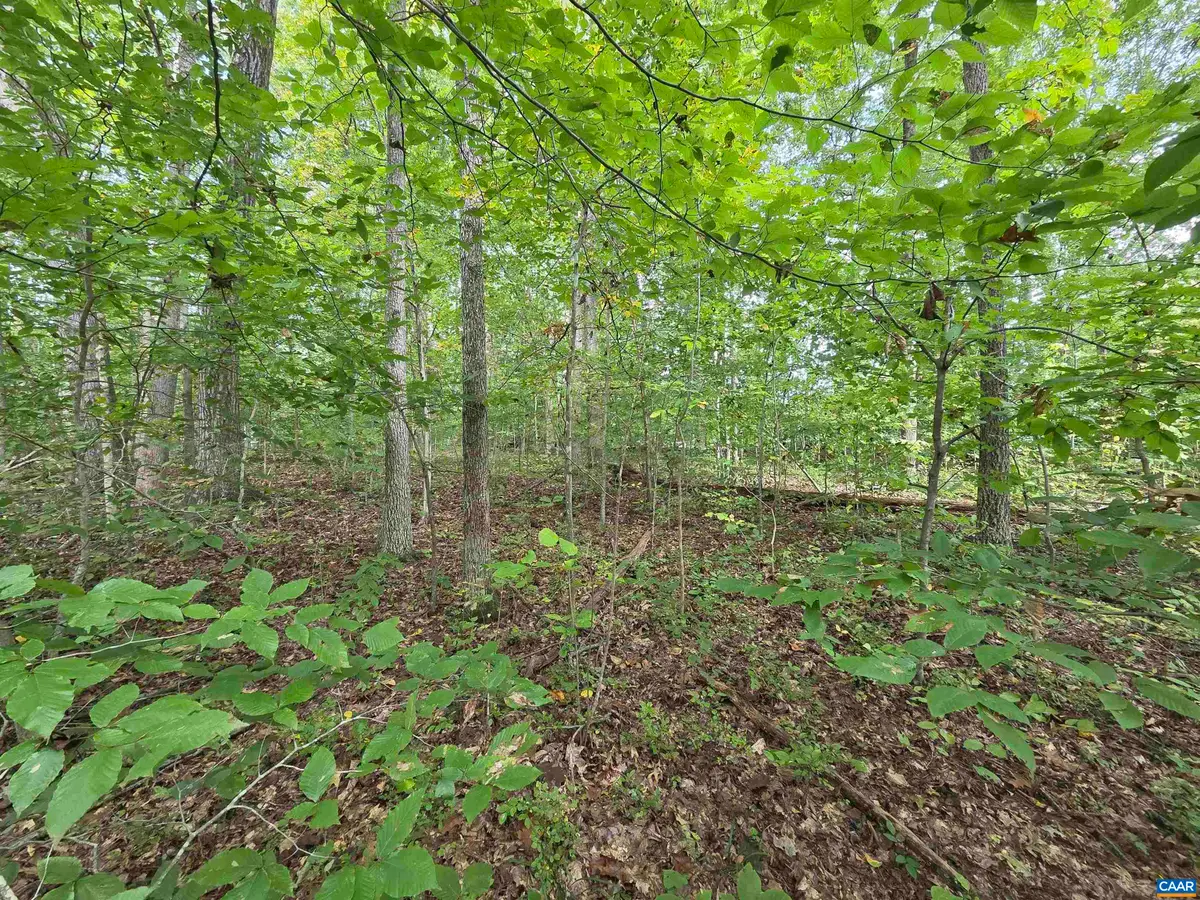 230 Beech Nut Dr, Louisa, VA 23093 - Image #1