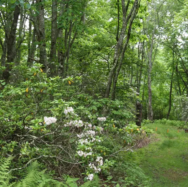 Summit Dr, Monterey, VA 24465