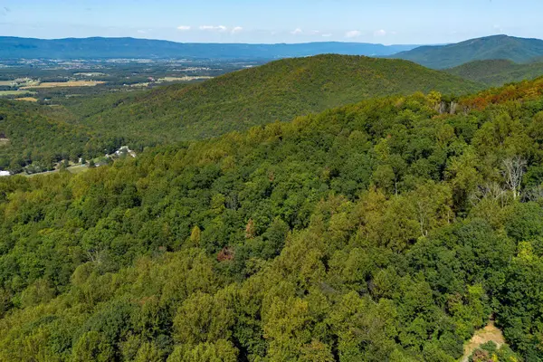 TBD Forest Homes Dr, Elkton, VA 22827