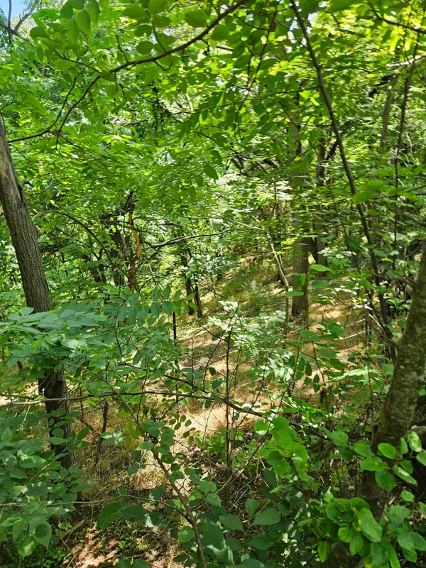 3 acres Mossy Creek Rd, Mount Solon, VA 22843