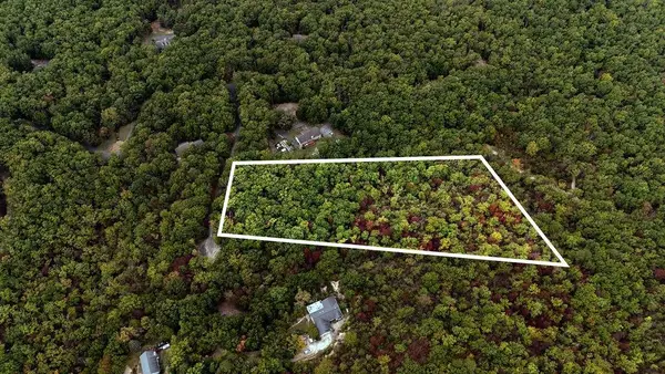 TBD Mountain Ridge Ln, Waynesboro, VA 22980