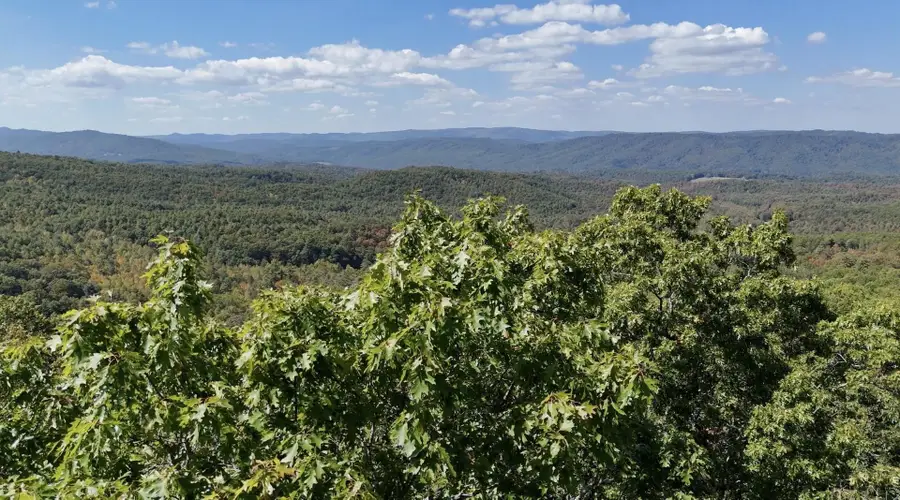 tbd Caddis Ln, Warm Springs, VA 24484 - Image #3