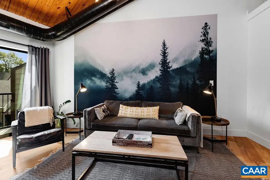 163 Mountain Inn Condos, Roseland, VA 22967 - #3