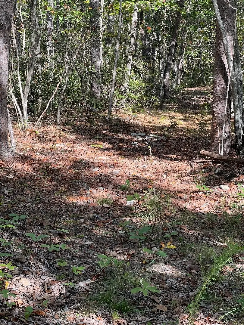 tbd Gerties Ln, Stuarts Draft, VA 24477 - Image #3