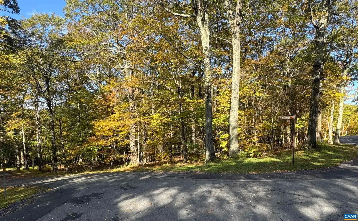 TBD Winter Wren Ln, Wintergreen Resort, VA 22967 - Image #1