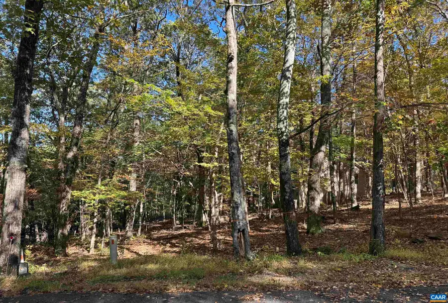 TBD Winter Wren Ln, Wintergreen Resort, VA 22967 - Image #3