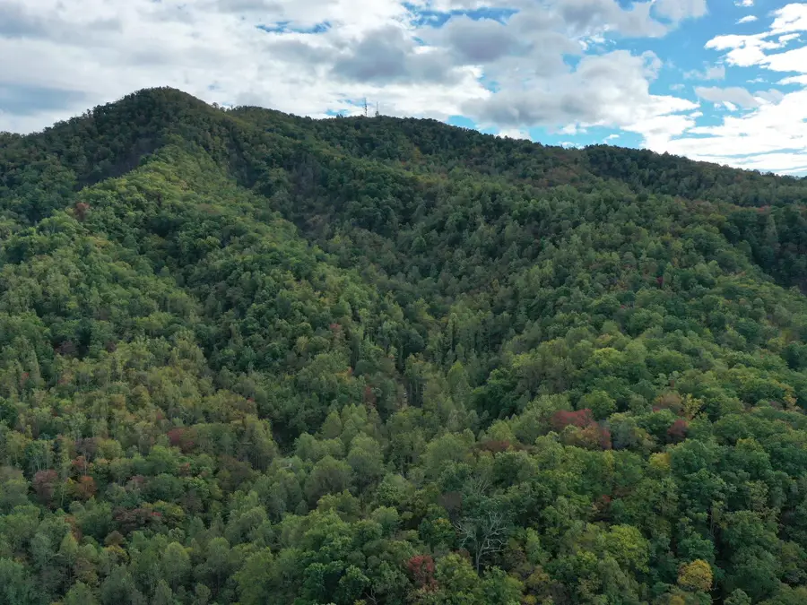 TBD Davis Creek Ln, Lovingston, VA 22949 - Image #2