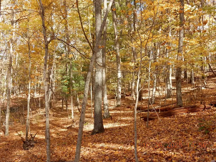 47 Quarry Hill Rd, Hot Springs, VA 24445 - Image #2