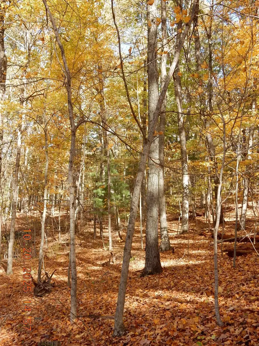 47 Quarry Hill Rd, Hot Springs, VA 24445 - Image #3