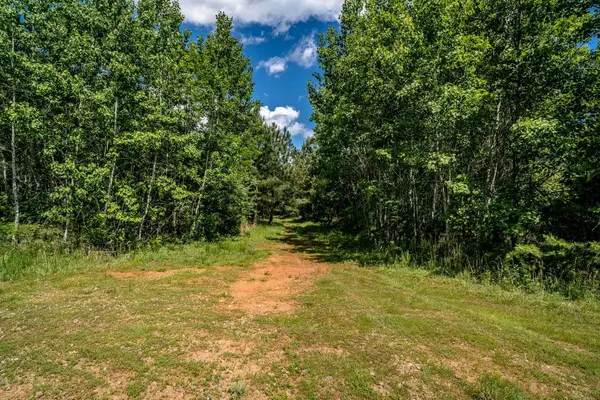 Lot 1 Green Creek Rd, Schuyler, VA 22969