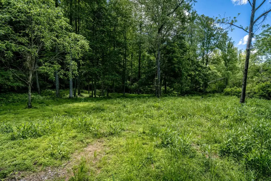 Lot 1 Green Creek Rd, Schuyler, VA 22969 - Image #3