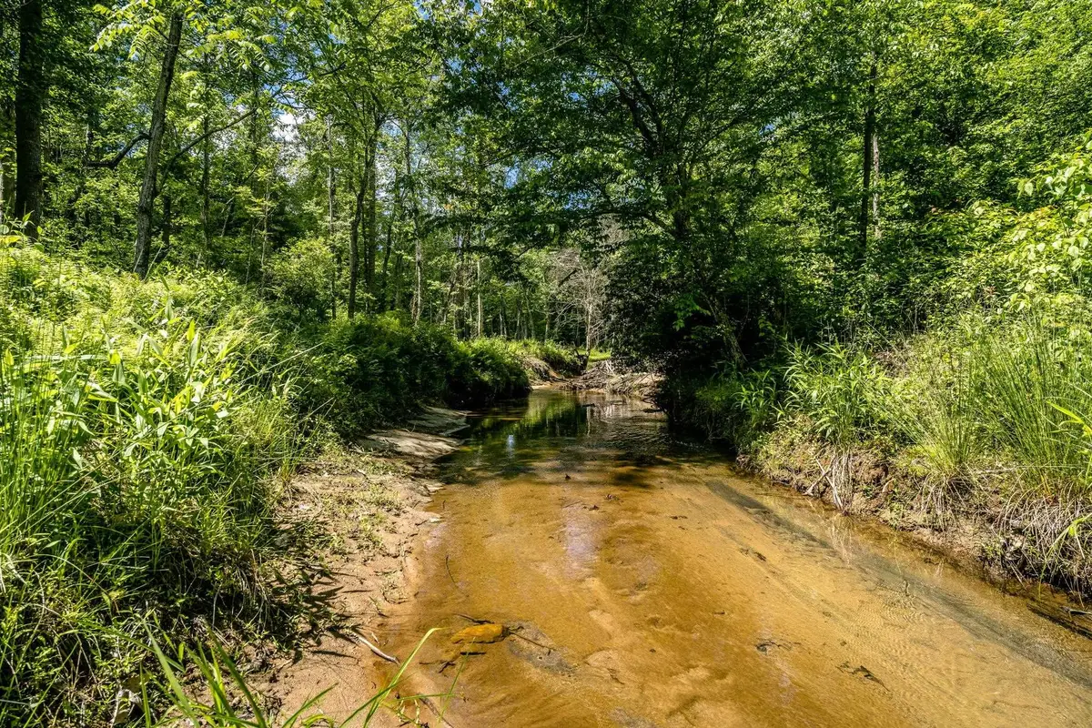 Lot 4 Green Creek Rd, Schuyler, VA 22969 - Image #1