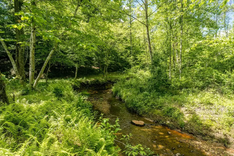 Lot 4 Green Creek Rd, Schuyler, VA 22969 - Image #2