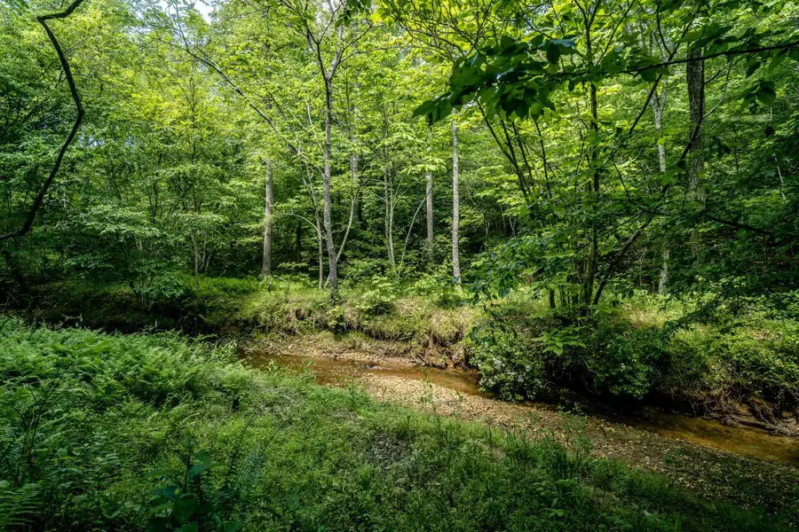 Lot 4 Green Creek Rd, Schuyler, VA 22969 - Image #3
