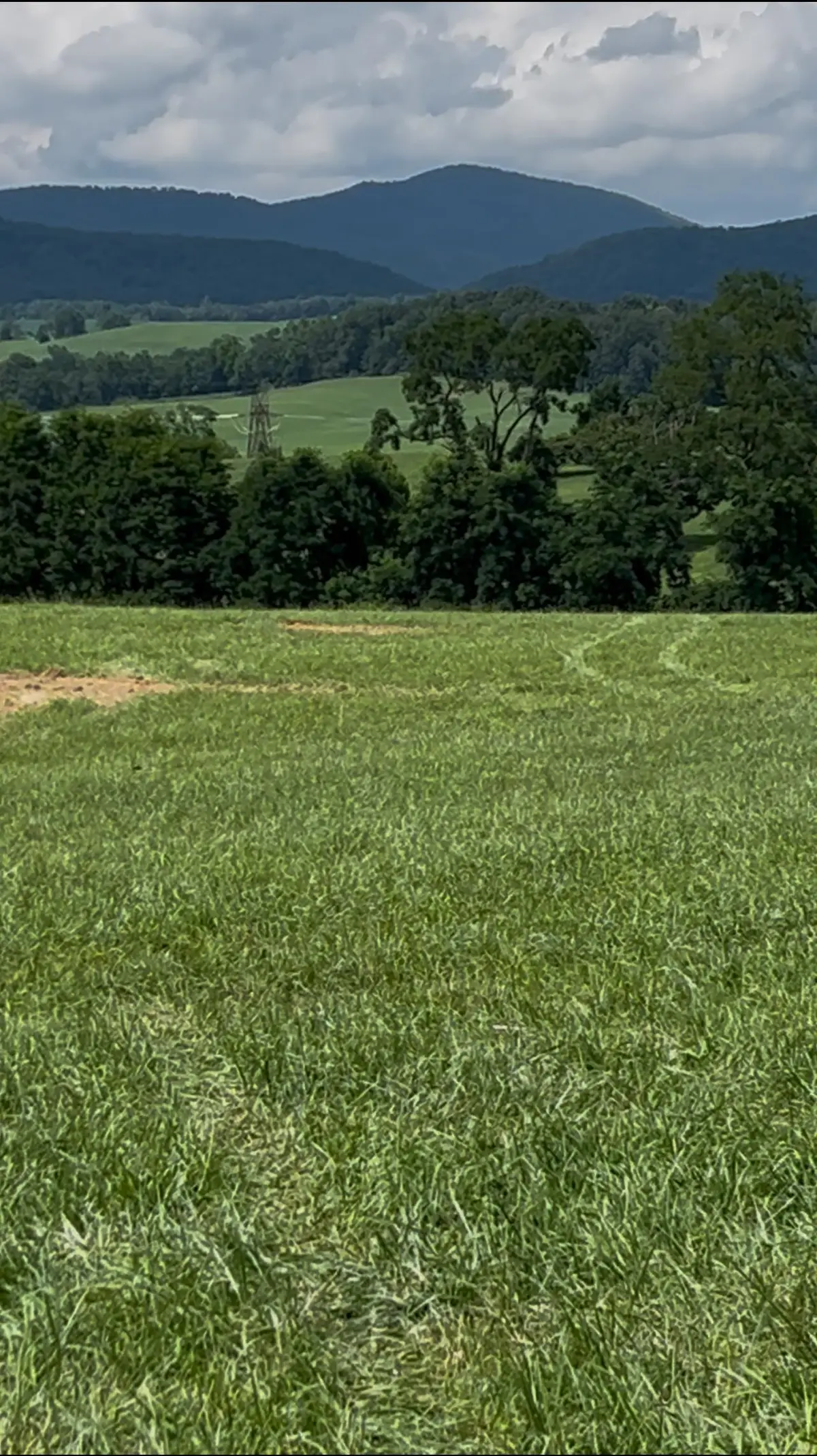 TBD Roudabush Ln, Churchville, VA 24421 - Image #1