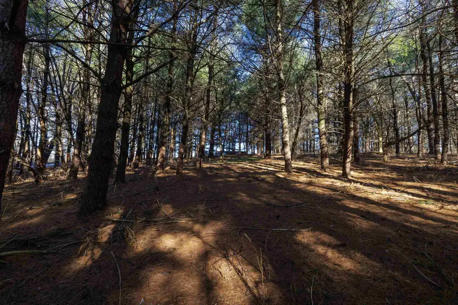 TBD Fairview Rd, Mount Crawford, VA 22841 - Image #3