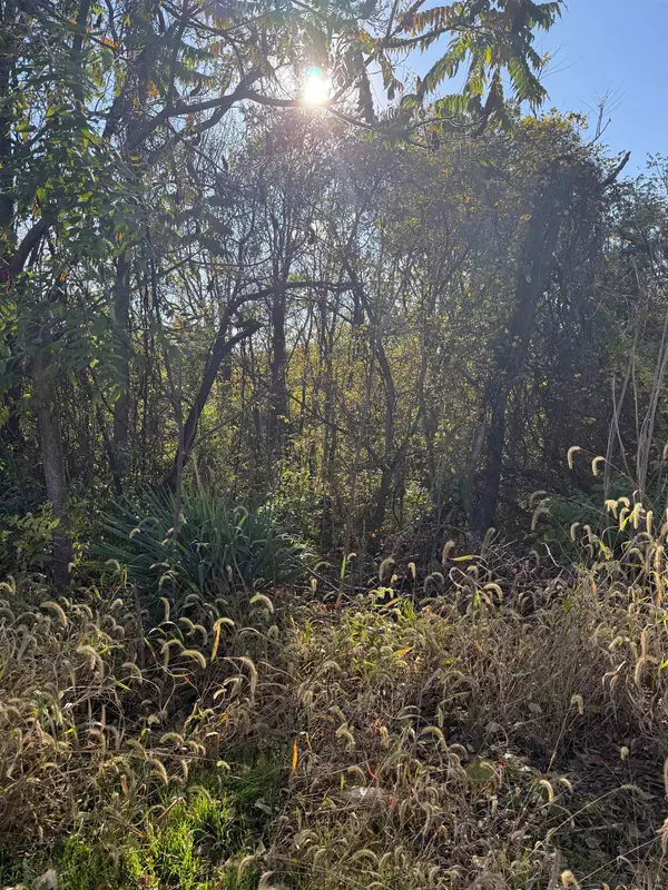 0 Jerome Rd, Mt Jackson, VA 22842