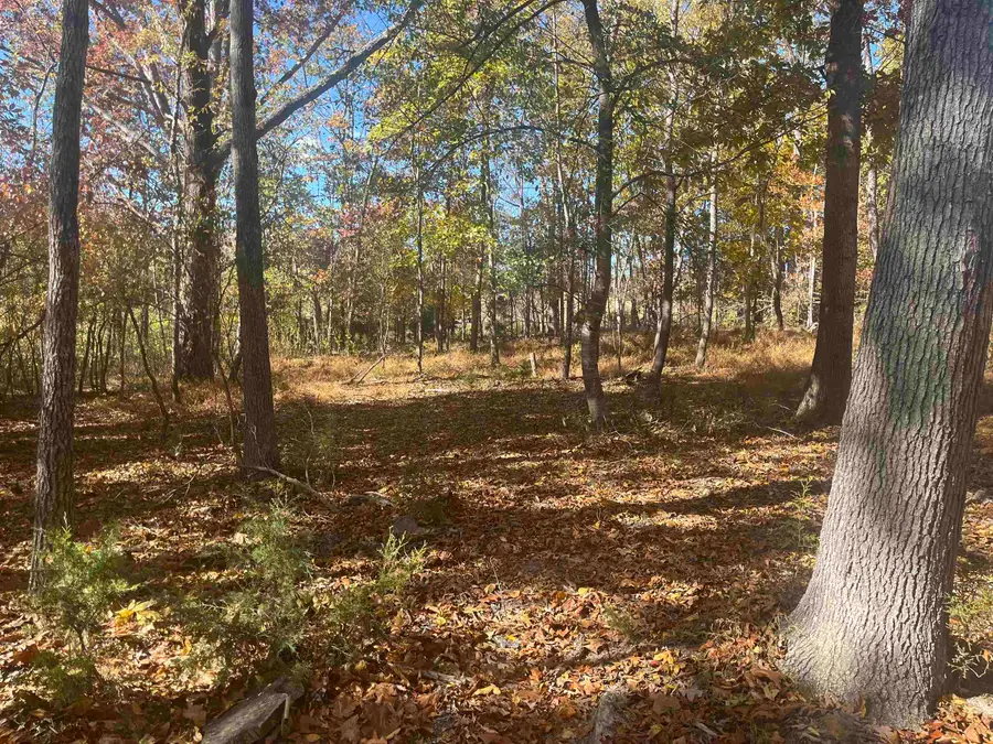 330 Bald Rock Rd, Verona, VA 24482 - Image #2