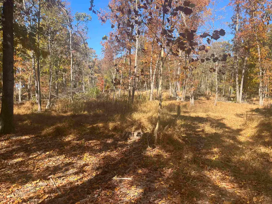 330 Bald Rock Rd, Verona, VA 24482 - Image #3