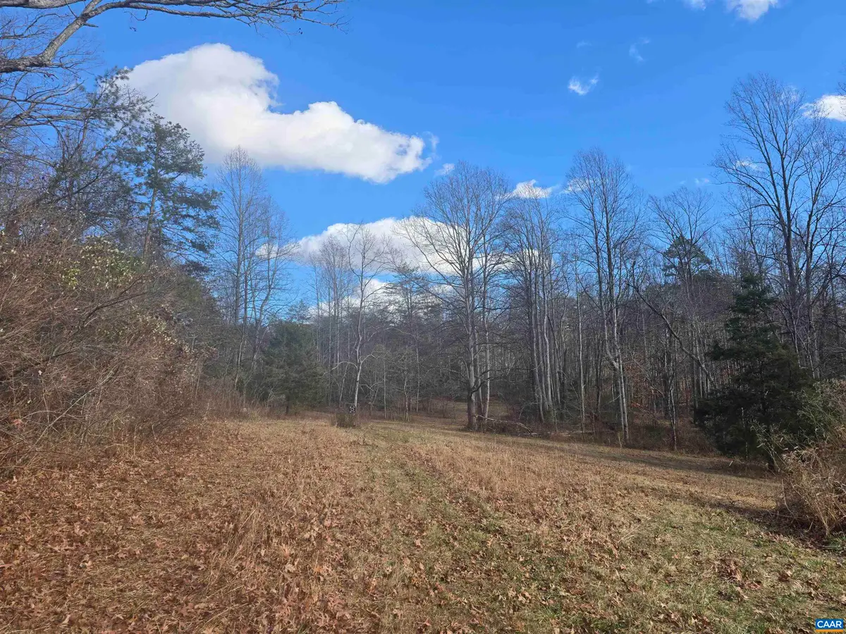 Lot C Sycamore Ln, Ruckersville, VA 22968 - #1