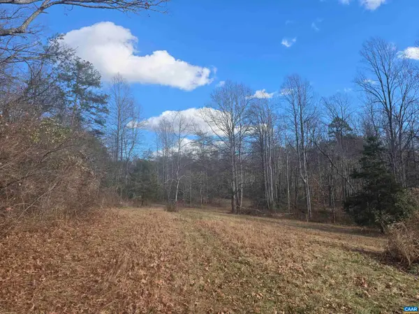 Lot C Sycamore Ln, Ruckersville, VA 22968