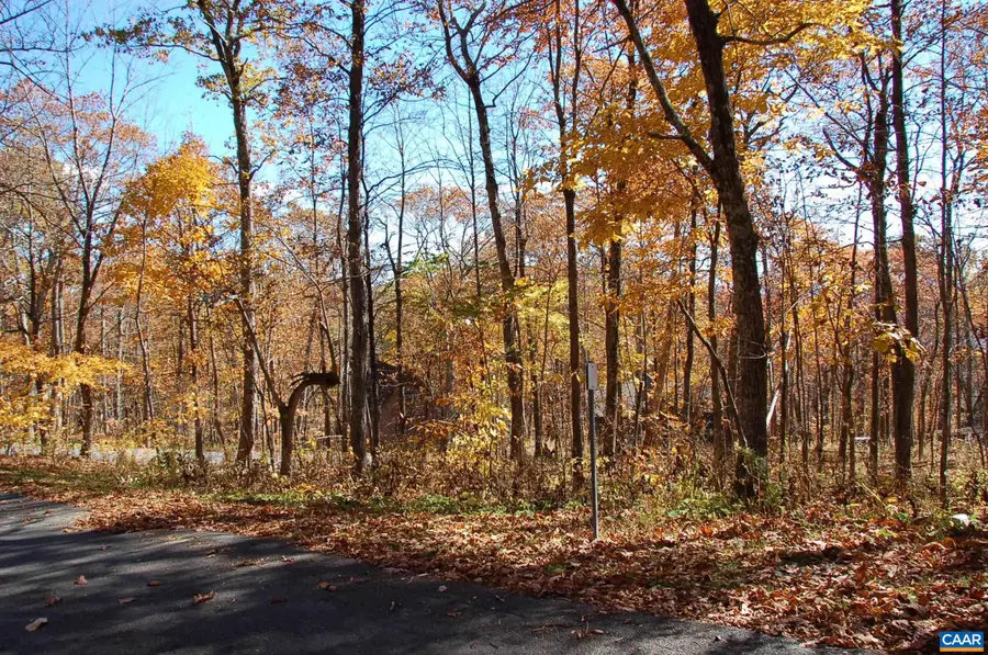 24 White Oak Ln, Wintergreen Resort, VA 22967 - Image #3