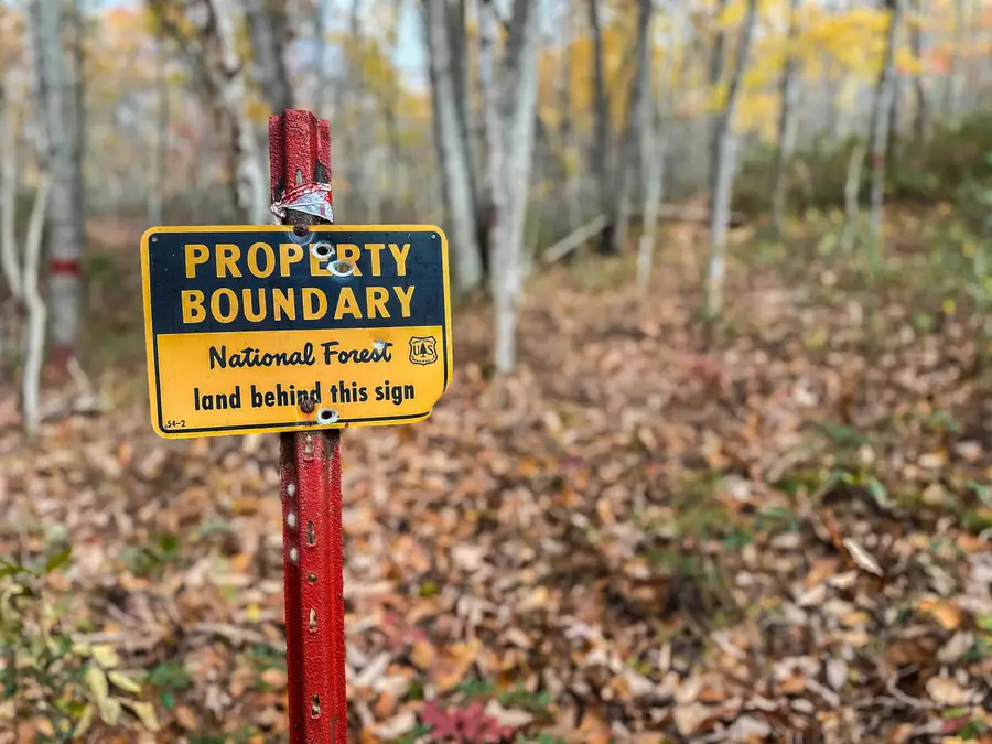 TBD Inch Run Ln, Lyndhurst, VA 22952 - Image #3