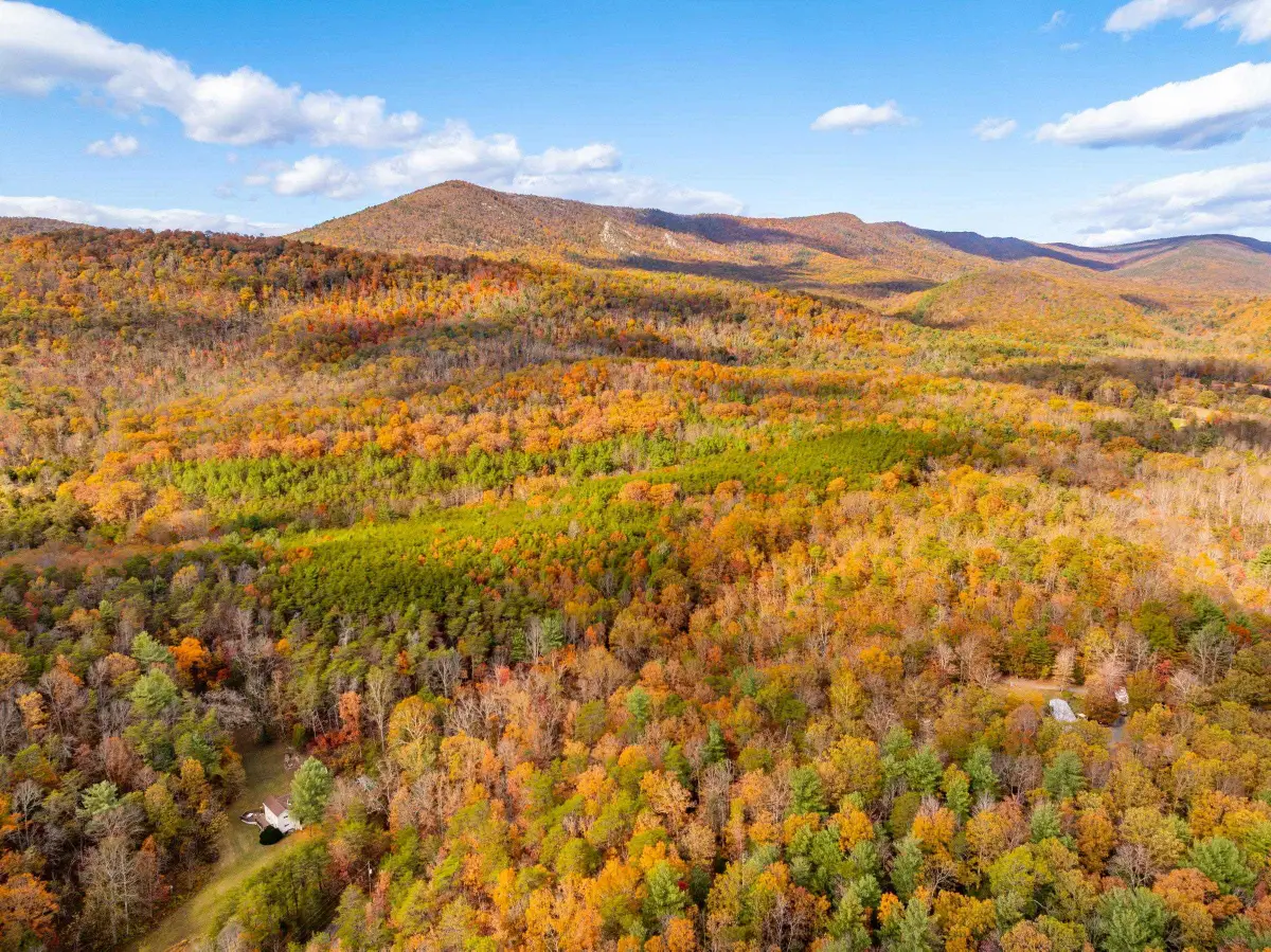 0 Bethany Church Ln, Edinburg, VA 22824 - #1